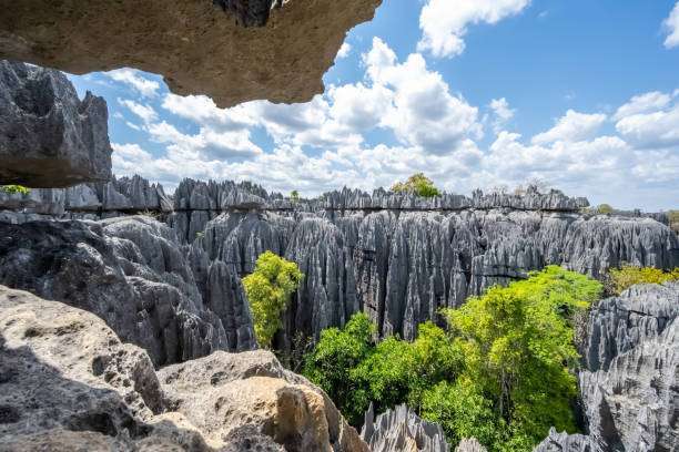 Must-See Madagascar