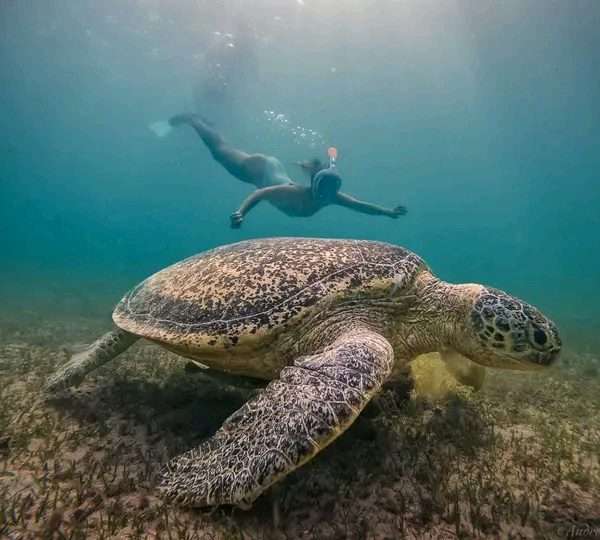 Madagascar adventure tour